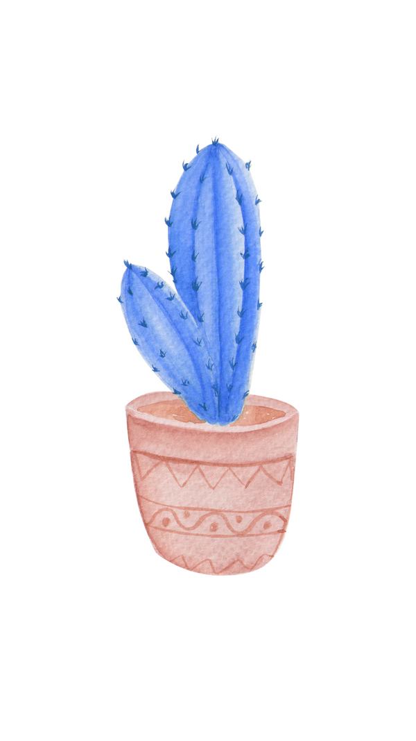 bluecactuss